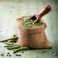 Flageolets verts BIO